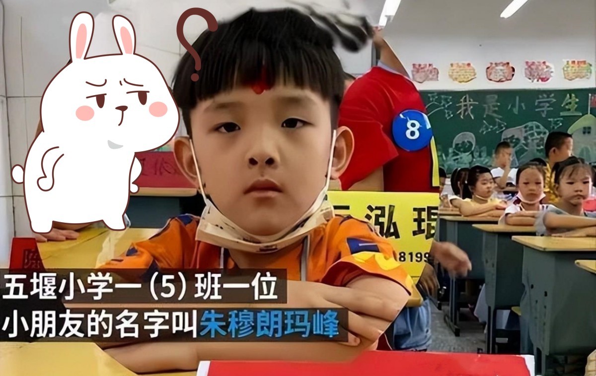 梓涵现在叫什么名字,梓涵的真实情况