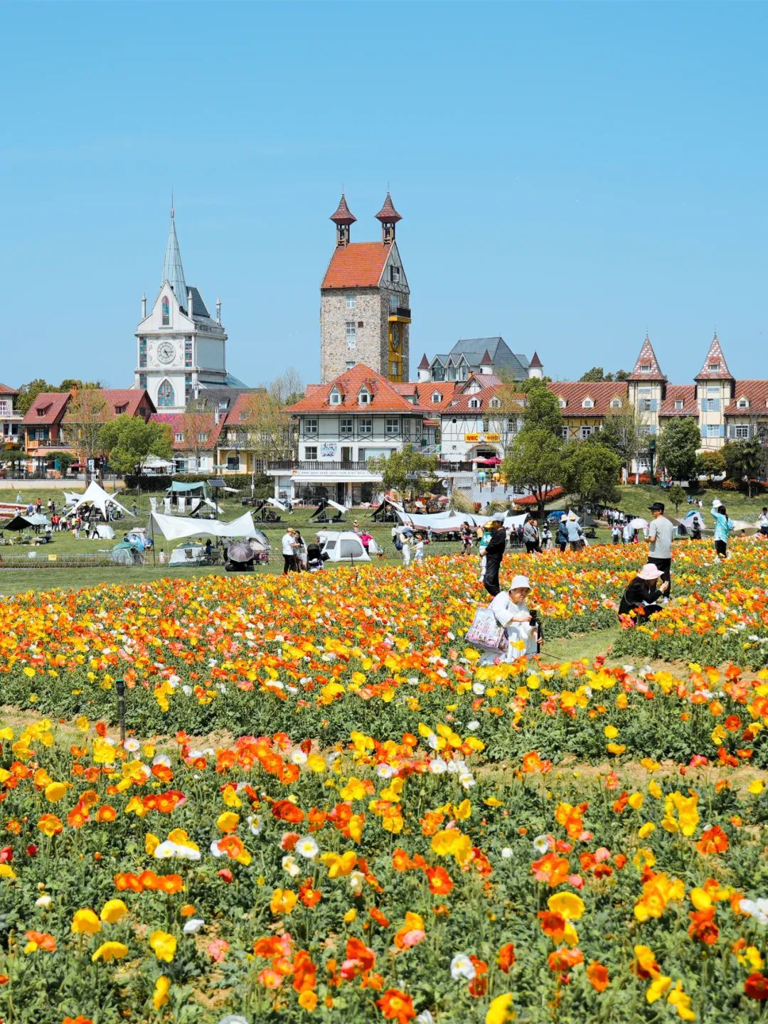 东湖樱园暂停营业原因,东湖樱花园暂停开放该从哪进