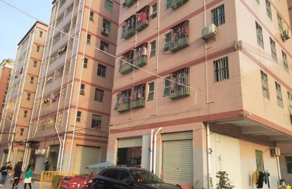 深圳包租婆一年2000万,深圳包租公包租婆发家史