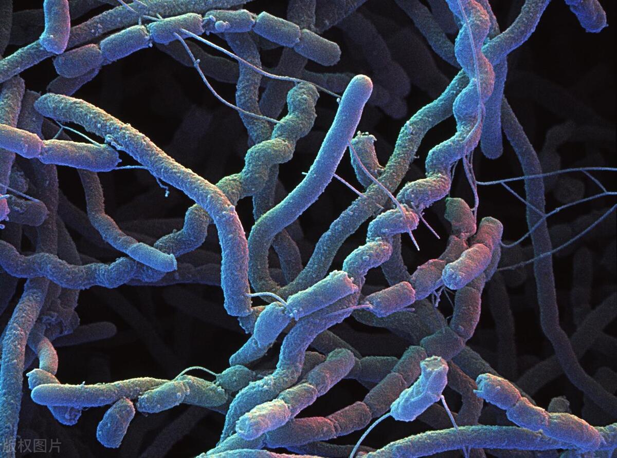 女性分泌增多特别痒是什么原因,女生生理期后生理部位瘙痒怎么办