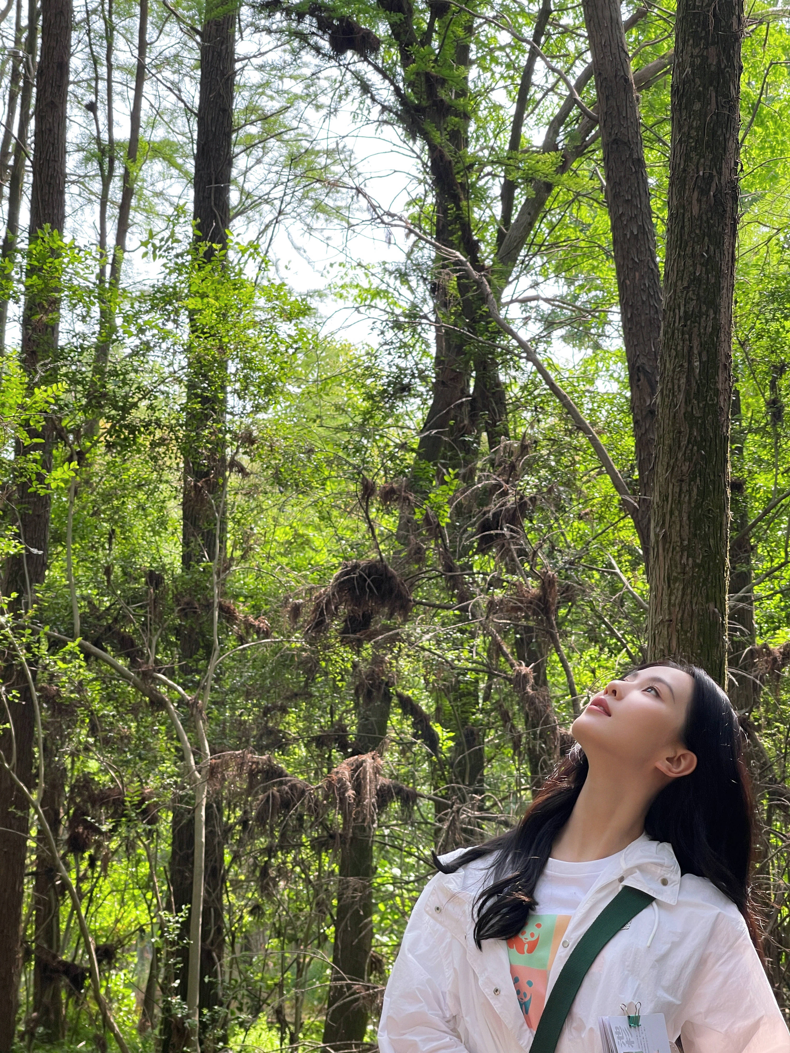 刘诗诗再战时装周早春写真惊艳,刘诗诗一袭粉裙优雅精致