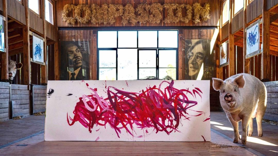 不要不相信，画了十年，或许还不如一头猪