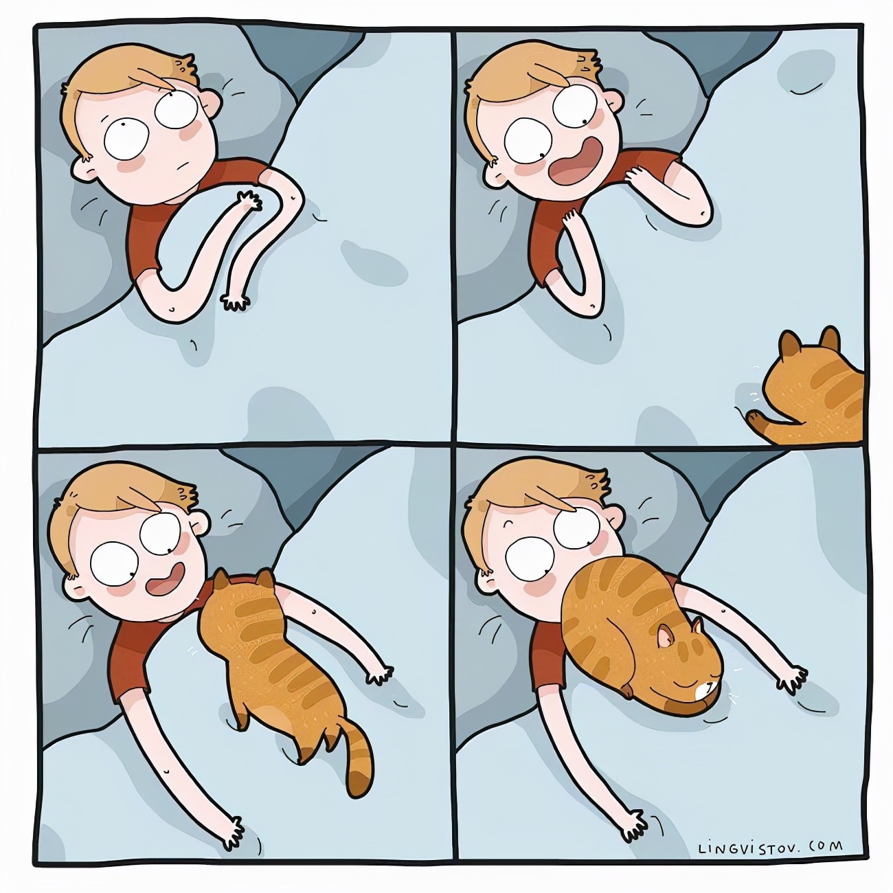 铲屎官和猫主子超级可爱的日常,喵星人与铲屎官一同成长记