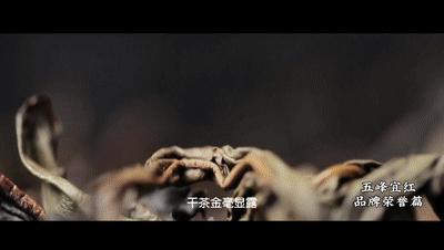 深化对口帮扶||五峰宜红茶:入选中国三大红茶之一究竟有何魅力?