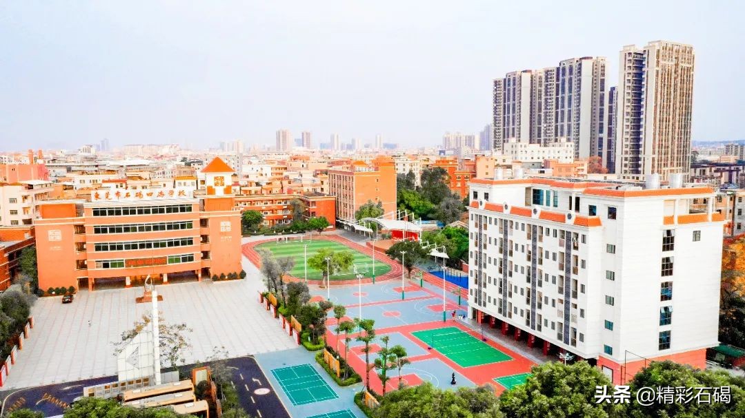 东莞石碣四海学校排名,东莞石碣四海学校学费价格表