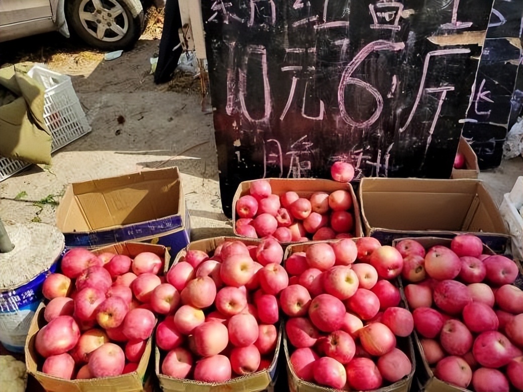 全国哪个省苹果最好吃,中国哪里的苹果最甜脆