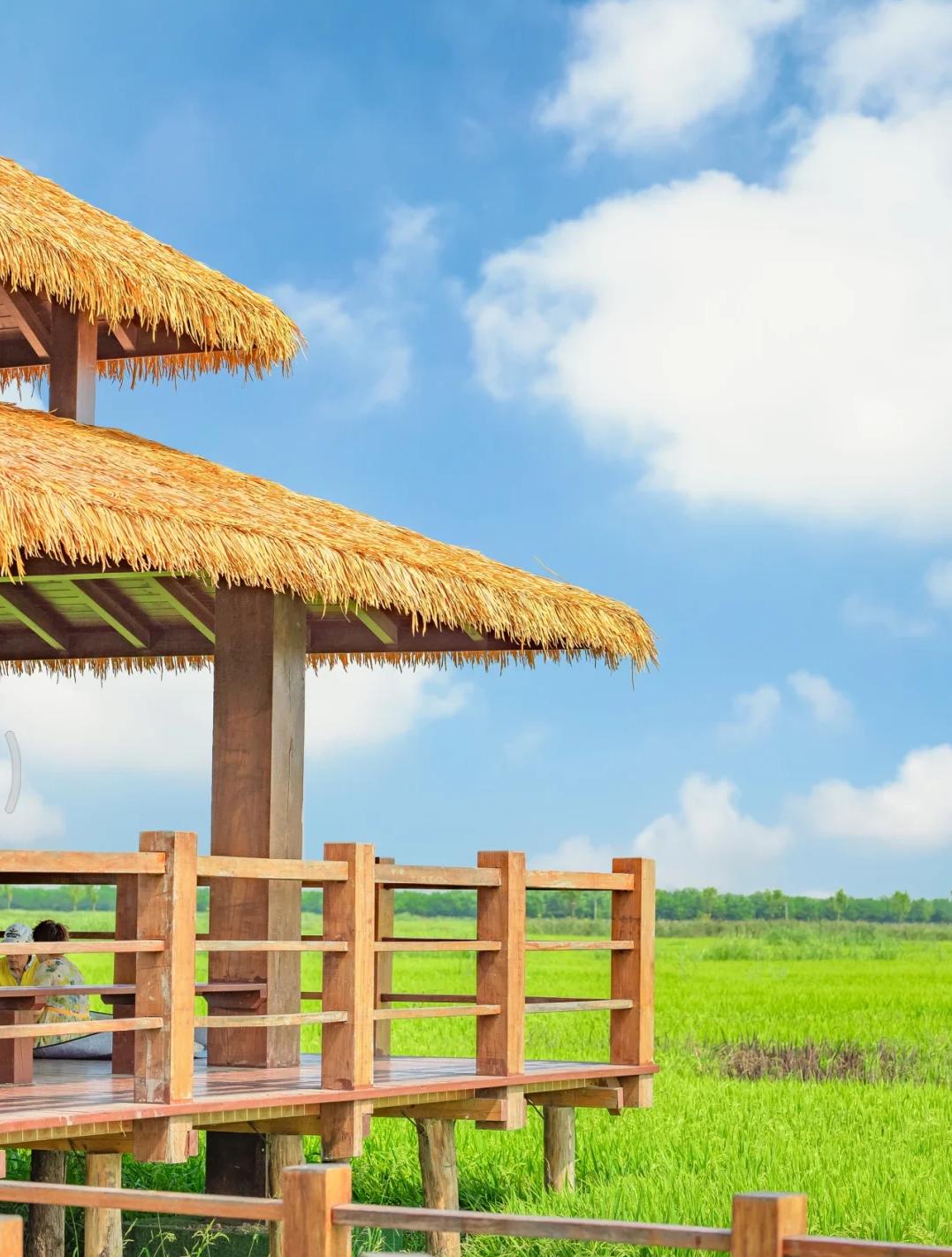 天津冬季遛娃,天津遛娃的免费公园