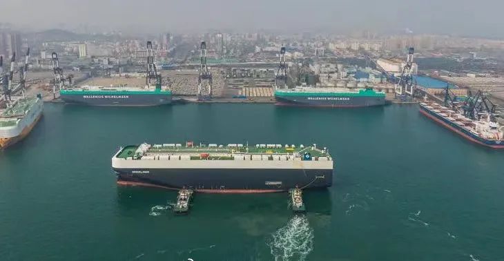 一到夏天，烟台就成了人们心心念念的消暑天堂！