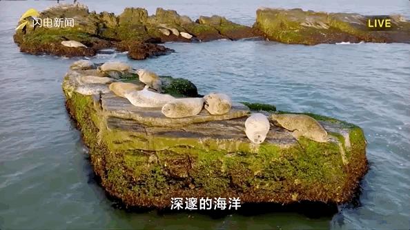 疯狂连更！山东这场持续两个月的直播，观看量超3.7亿