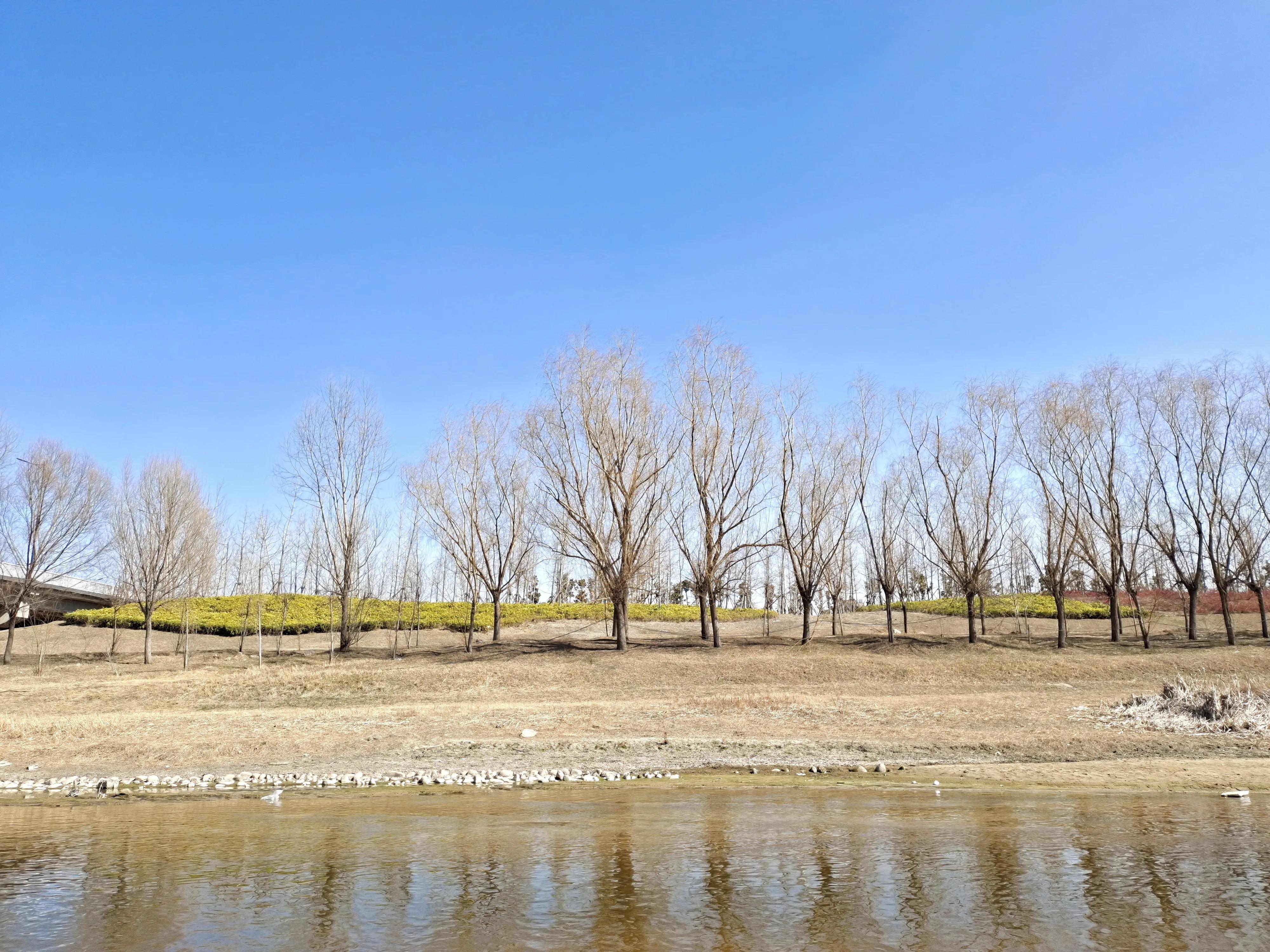 散文白鹭,描写孤独的白鹭诗句