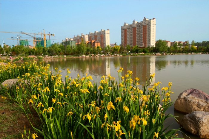 常务副市长作政府工作报告,市政府市长工作报告