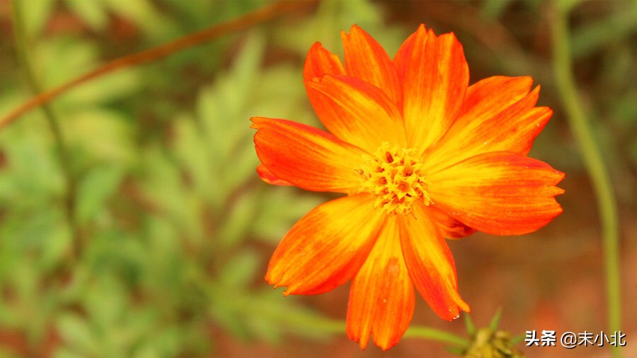 人生感悟最苦的句子,人生最苦的十年后的感悟