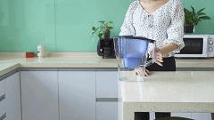 碧然德滤水壶可以用倍世的滤芯吗,德国倍世和碧然德差别