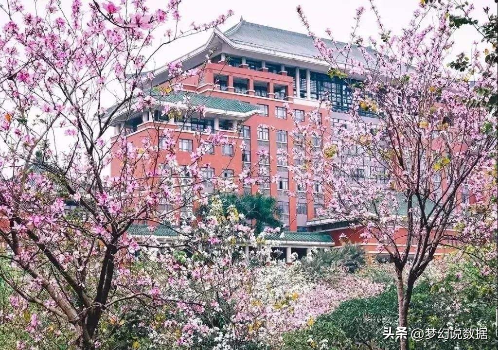 中国哪个地方经济教育最好,经济强省高等教育强吗