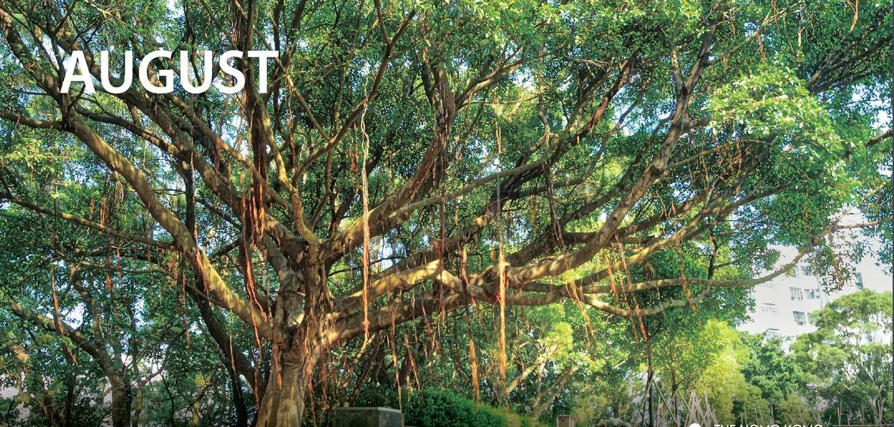 港科技的师资力量就是那么强