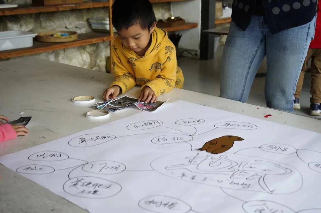 大理幼儿园环境,大理县城幼儿园