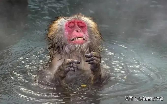 海底知识大全关于动物和植物,我们了解到了很多动物的知识