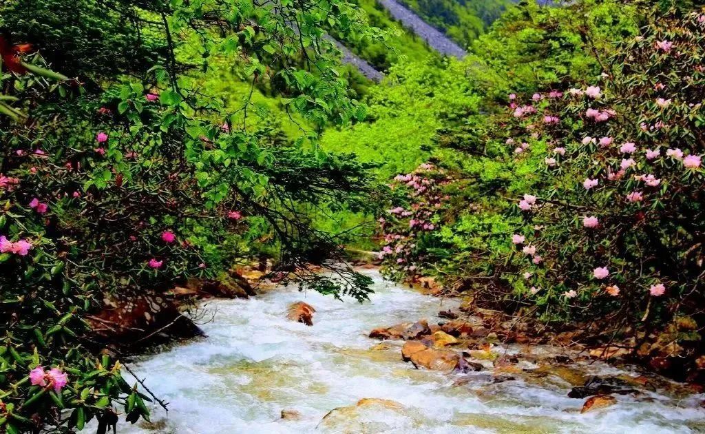 中国旅游日凉山,中国旅游日四川景区