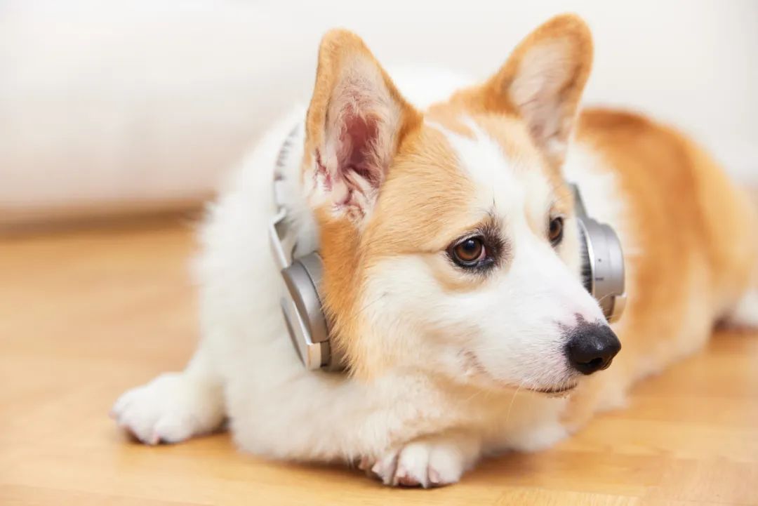 喝酒解除烦恼的段子,15个幽默段子哈哈一笑烦恼全消