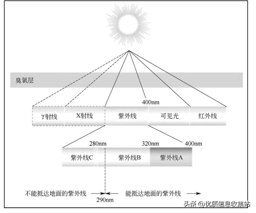 护肤书单爆款,美容化妆品书籍