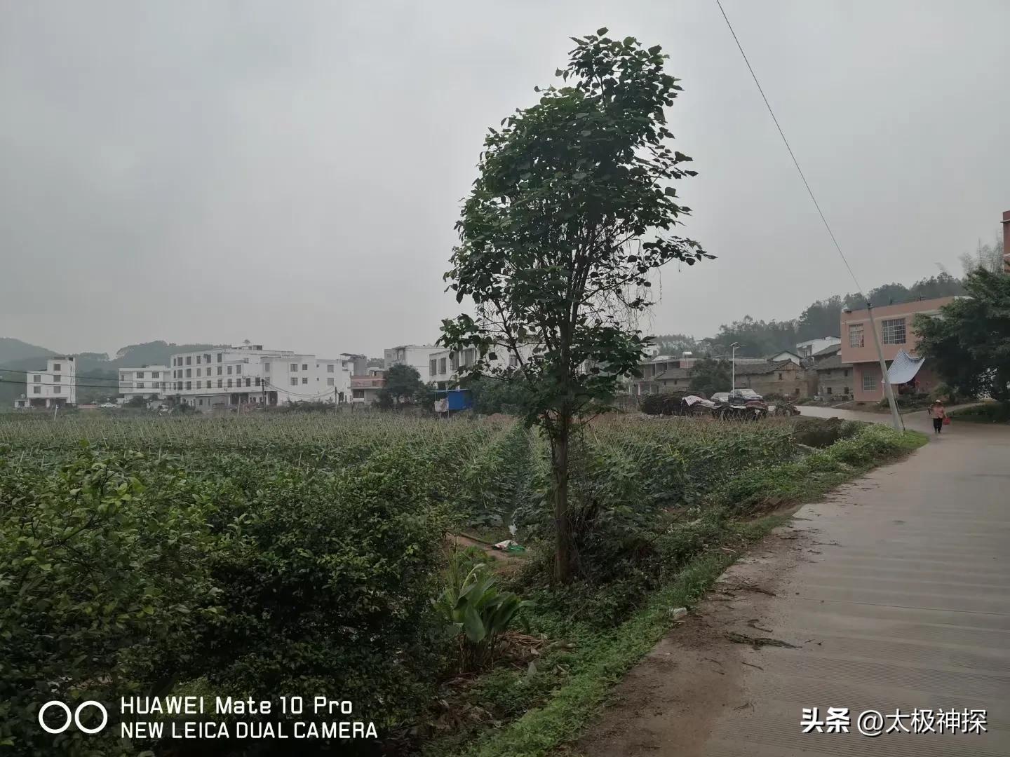 我理想的退休生活,退休后最理想的生活是什么