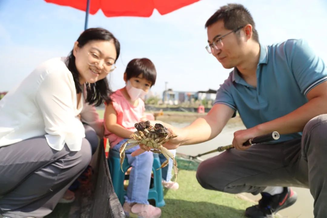 解锁乡村致富密码,想知道发财的秘密吗