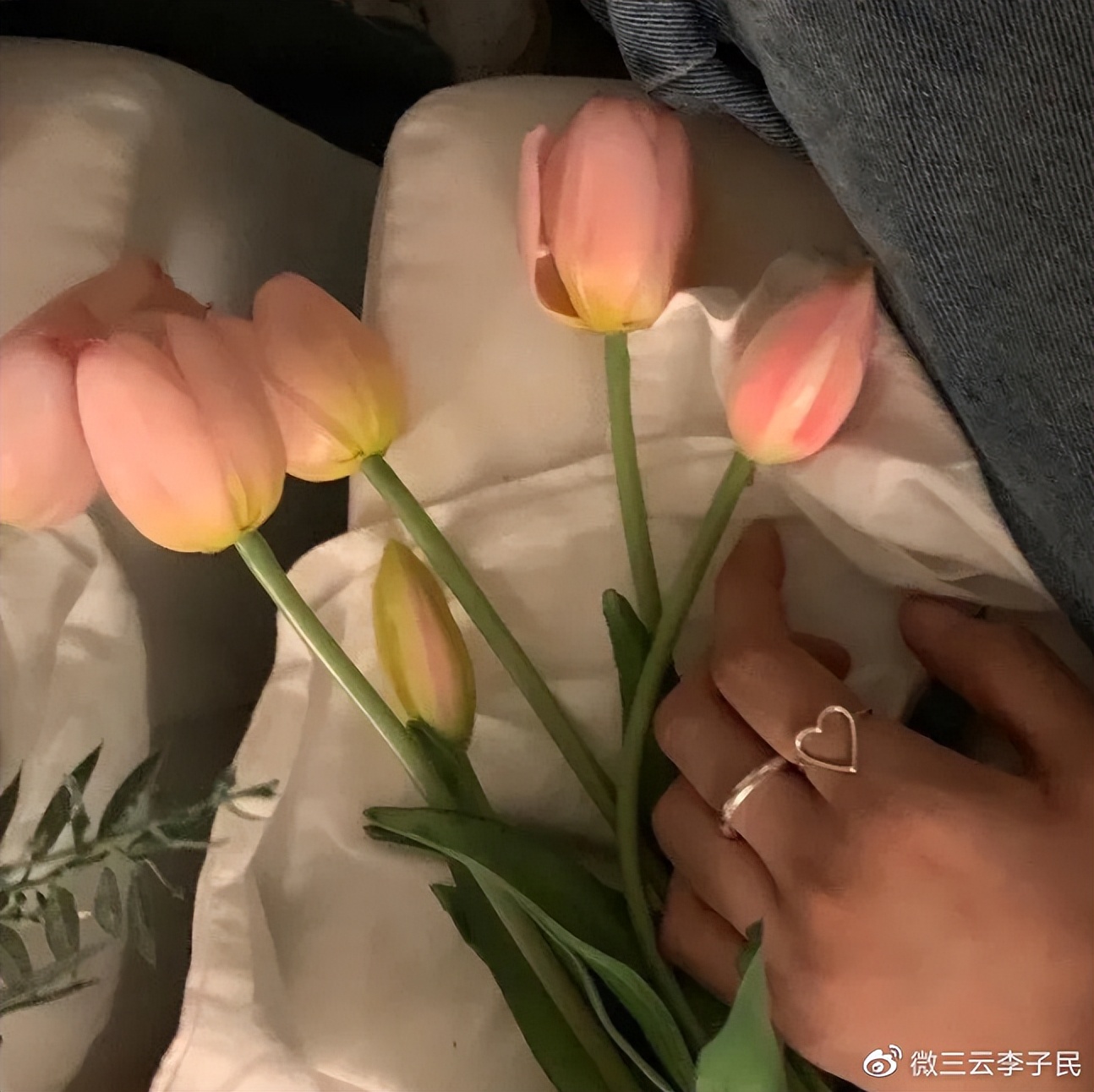 链动2+1如何做区域代理,链动2+1模式如何招商