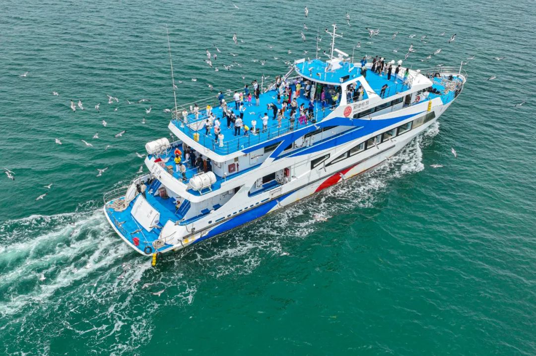 阳光正好周末出去走走,阳光明媚的周末游