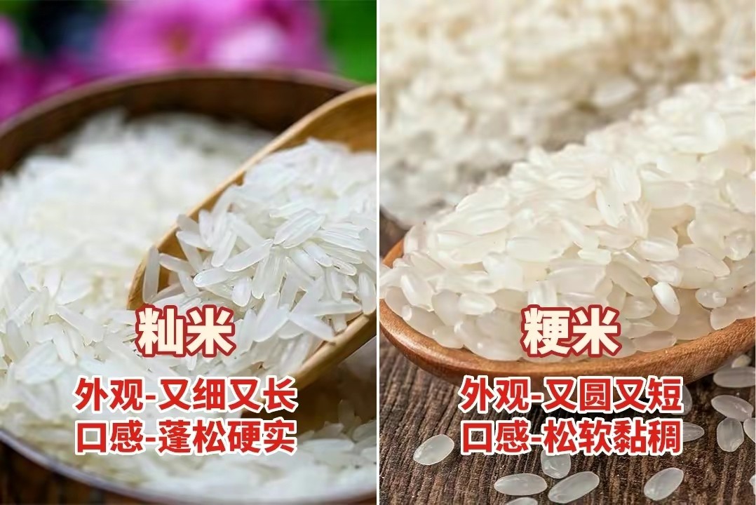 米饭还在用水煮？老厨房：只需4招，米饭香软适口，收藏不亏