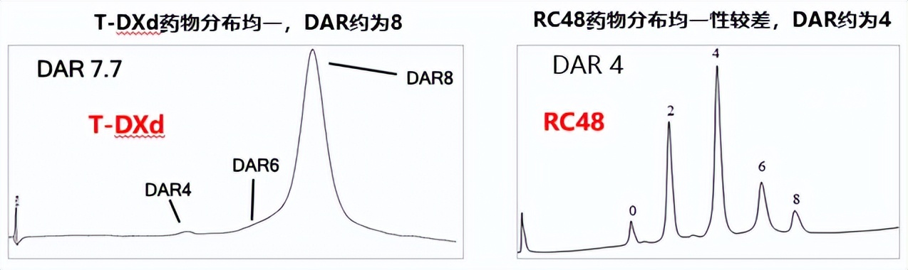 her2抗体偶联物恩美曲妥珠,her2的新型抗体药物偶联物