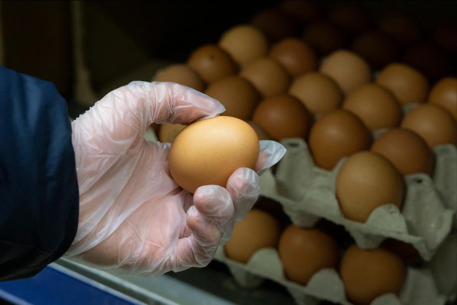 超市便宜的鸡蛋和贵的有什么区别,鸡蛋是买大点的好还是小点的好