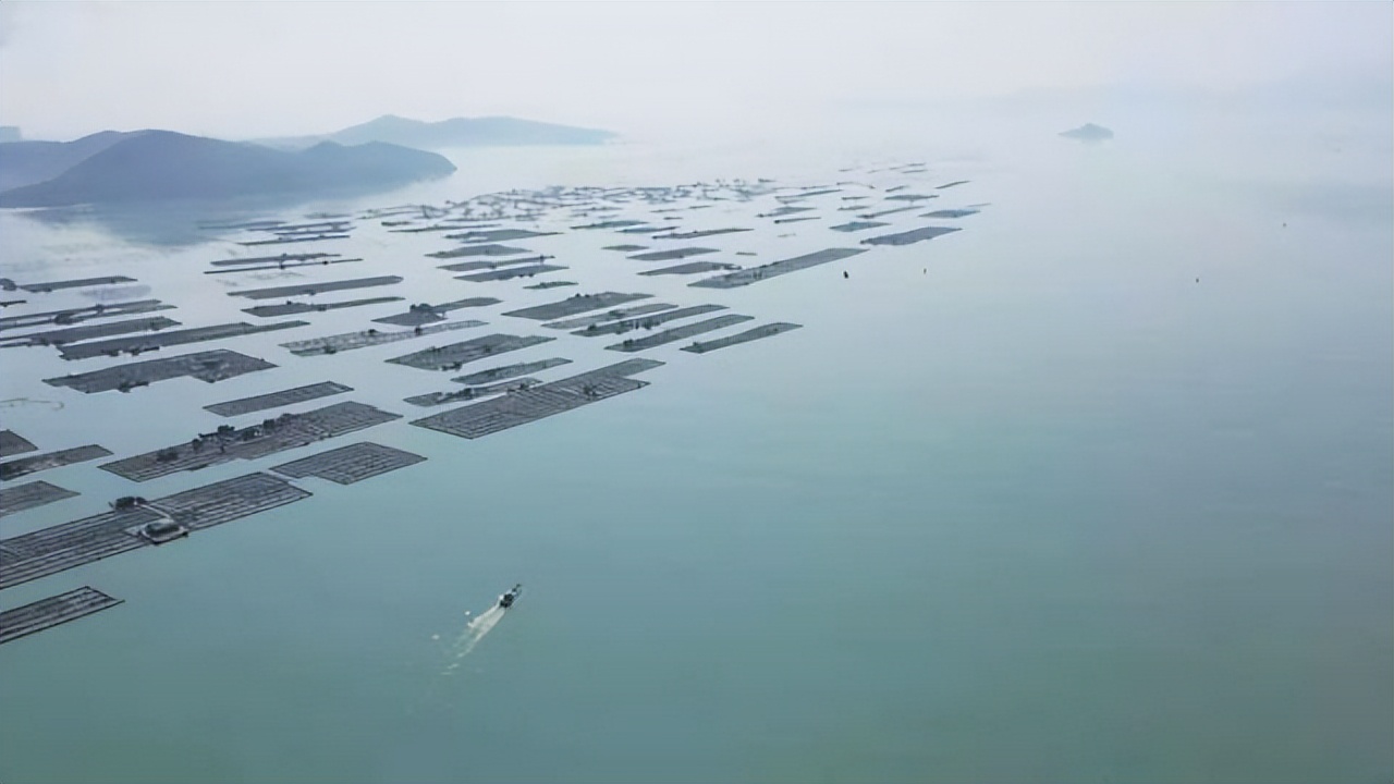 在鲜味江湖里，广东这座小城堪称食客天堂