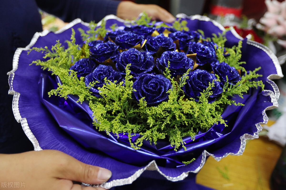 分享美图蓝色妖姬,蓝色妖姬玫瑰花美图