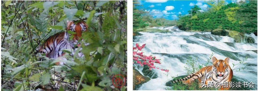 不是ps胜似ps的26张神奇照片,不是ps胜似ps的25张神奇照片