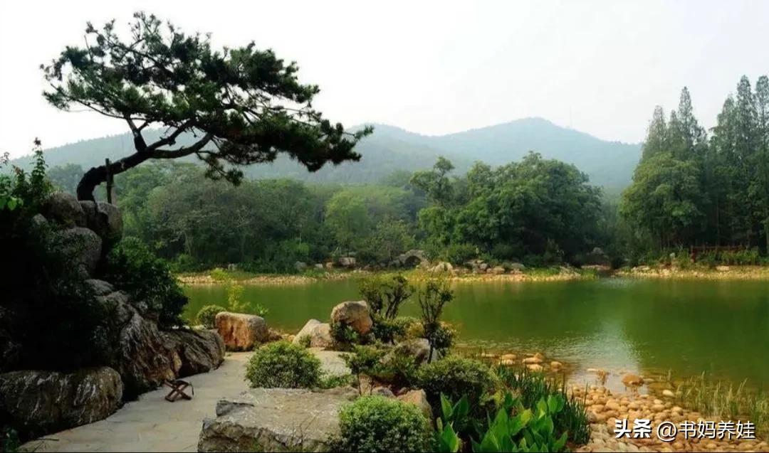 徐州自驾游一日游景点大全,徐州4日游必玩景点攻略