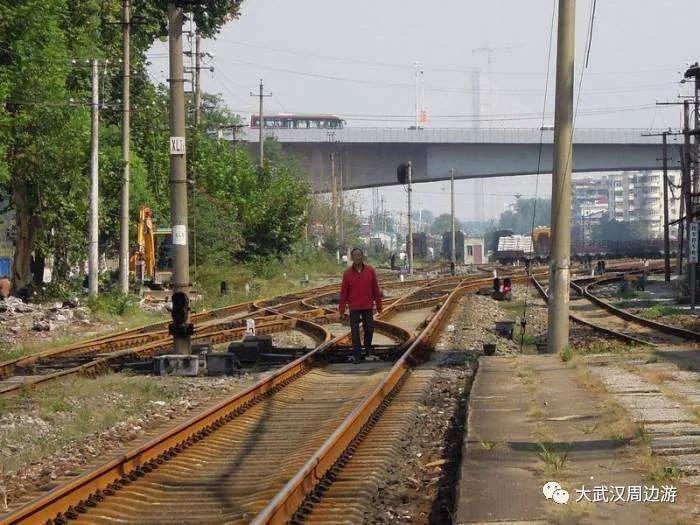 武汉四美塘公园开园了吗,四美塘公园和武昌生态文化长廊