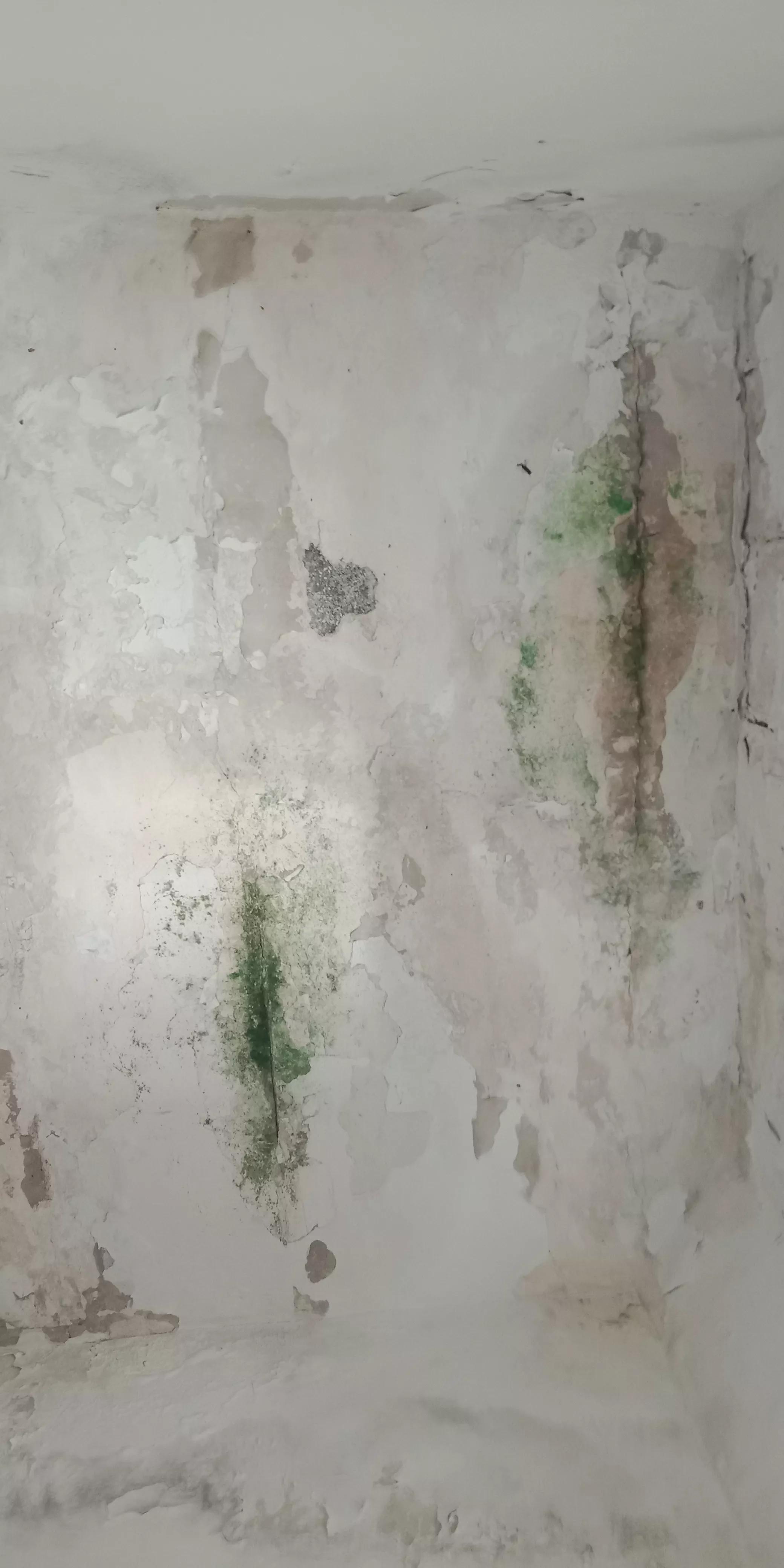 房屋漏水房顶需要怎么改造,旧房改造后楼顶漏水找哪里处理