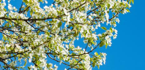 SpringDay让春天“放肆”绽放|深圳的春天我们这样“玩”婚礼