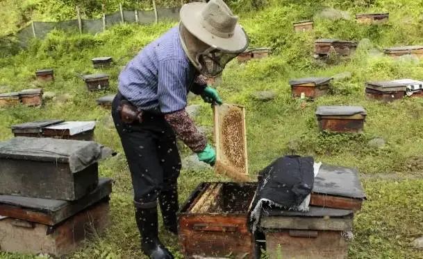 到四川广元有什么特产买,返程带回来的老家特产