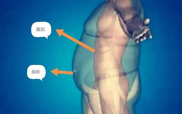 家里怎么锻炼腹肌,减小腹的运动锻炼腹肌