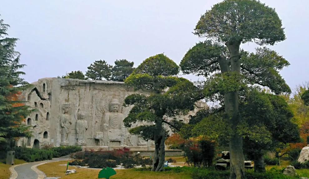 郑州春天去哪里旅游,郑州周边适合春天去的地方