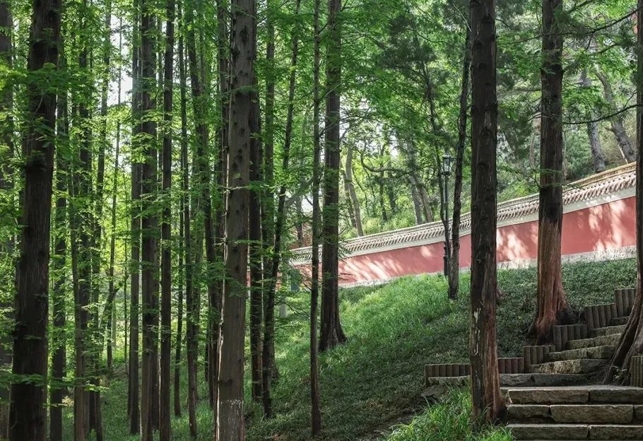 换一个角度拍出不一样的青岛,换个角度看不一样的青岛