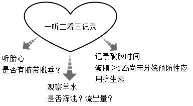 孕妈妈怎么判断胎位是正的,胎儿屁股在右侧是什么胎位