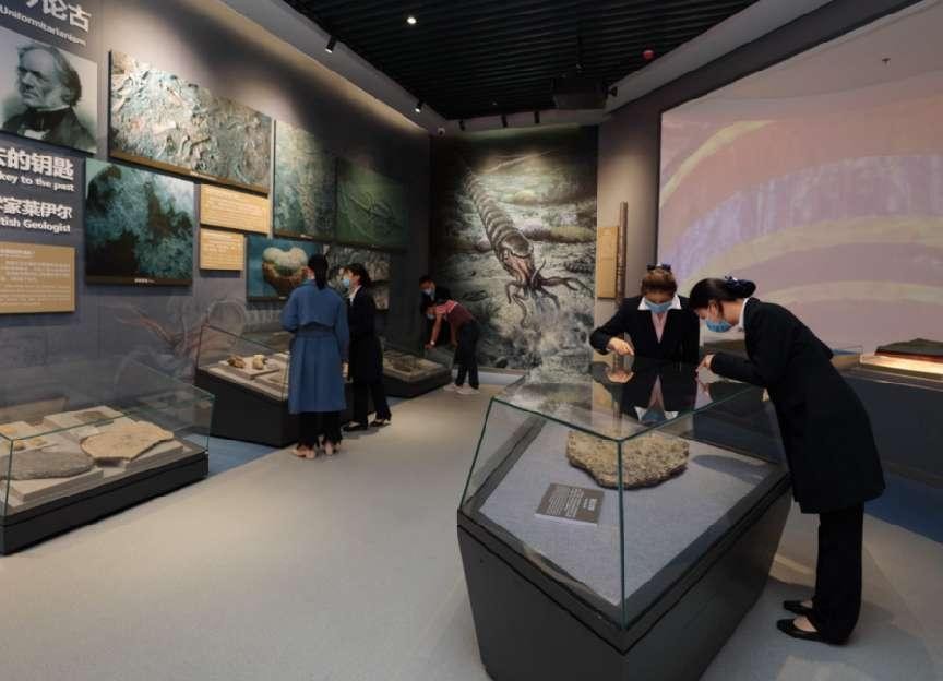 老汉宝刀卖500万专家指责现场,老人500万卖宝刀专家指责