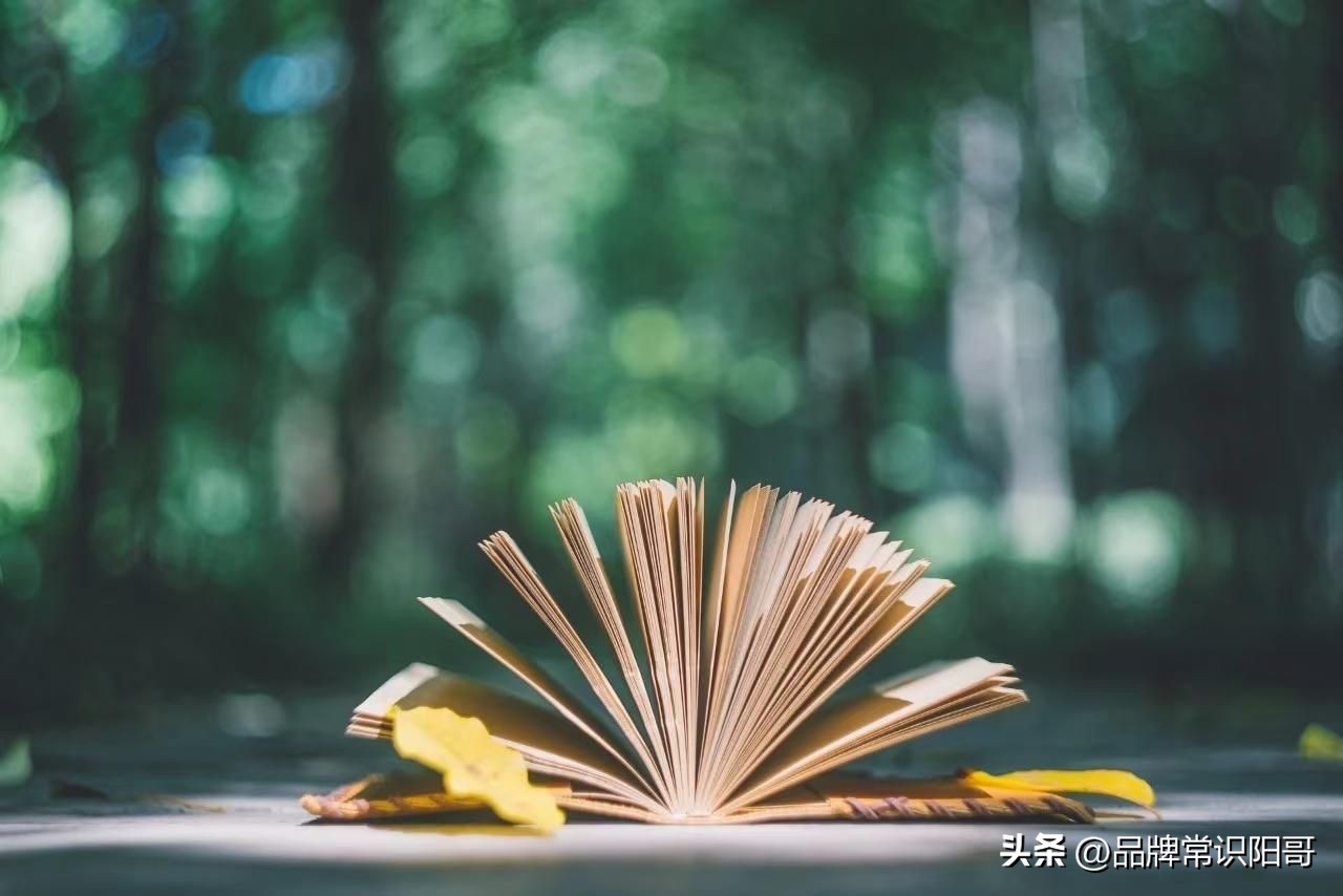 b2b企业如何进行品牌管理,b2b工业品牌营销方案