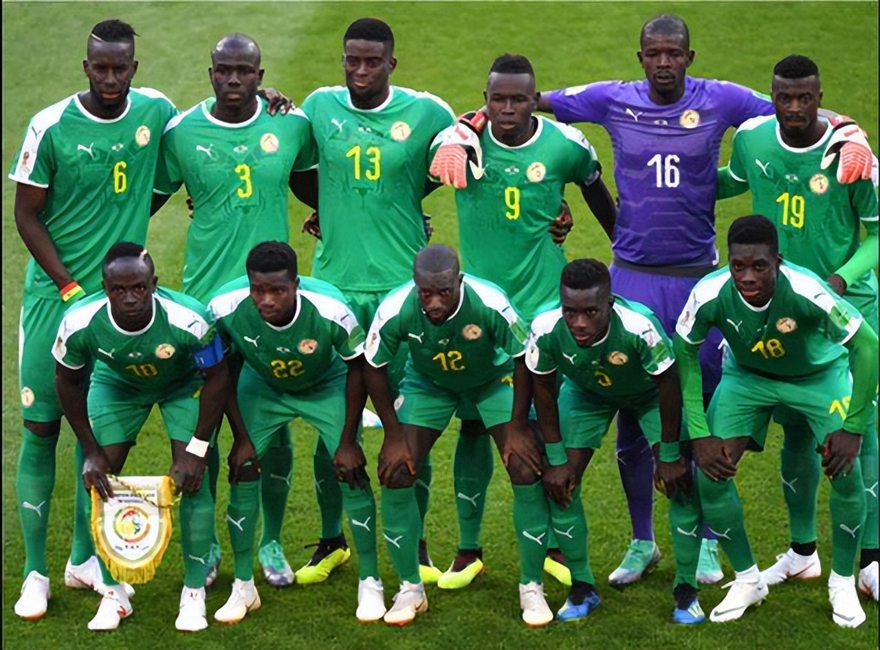 世界杯塞内加尔vs荷兰全场集锦,世界杯竞彩日本对塞内加尔