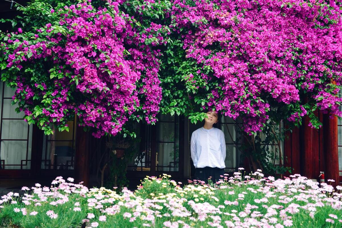 个人住房*款贷**