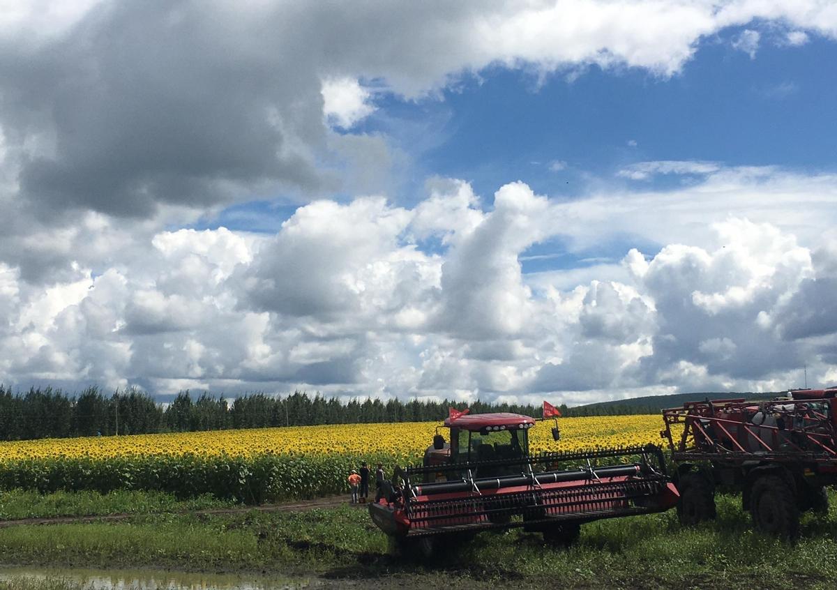 羞耻与痛苦：30张老照片记录纳粹强迫妇女脱衣的残忍场景！