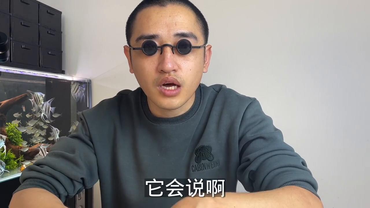 亚克力厨房台面开裂怎么修复,亚克力材质开裂因素有哪些