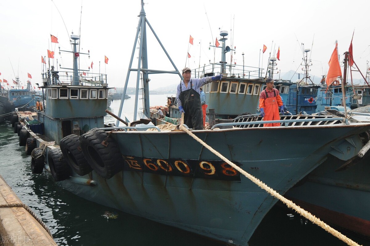 青岛沙子口老渔民,青岛沙子口渔民出海打鱼